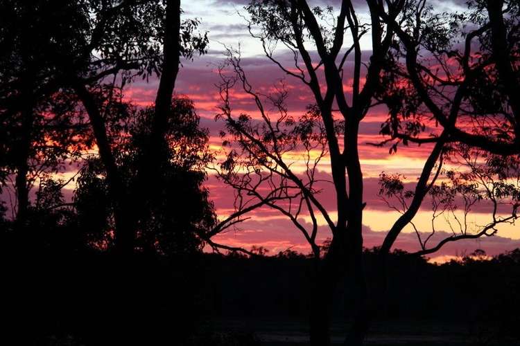 Sixth view of Homely livestock listing, 19A Byjuke Forest Road, Lake Mundi VIC 3312