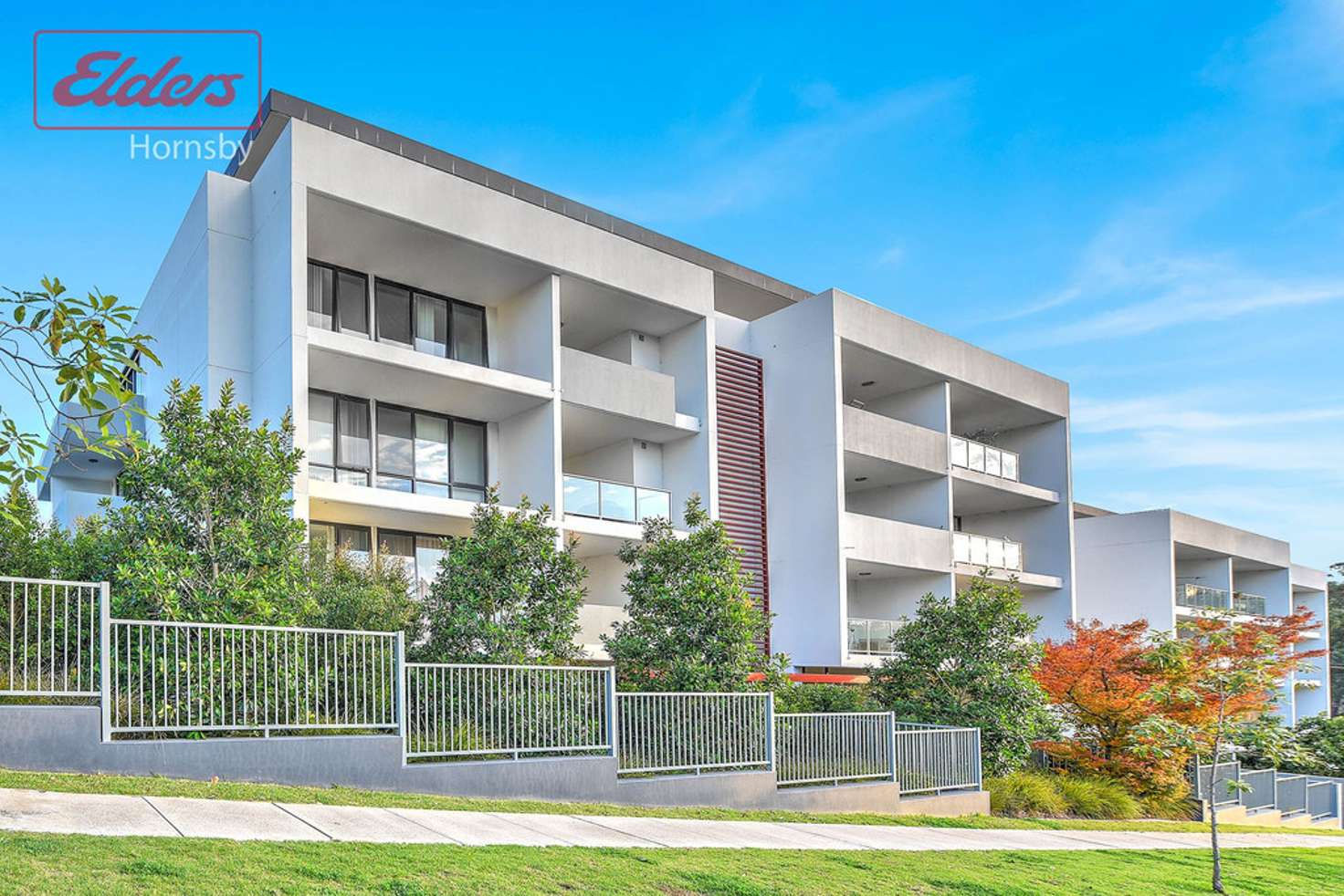 Main view of Homely apartment listing, 46/9-11 Amor Street, Asquith NSW 2077