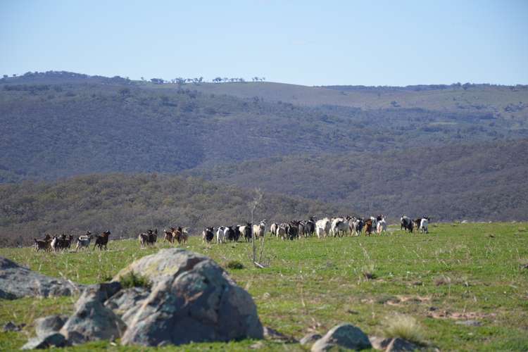 Main view of Homely lifestyle listing, Lot 166 Part 'Posey Hill', Posey Hill Road, Mudgee NSW 2850