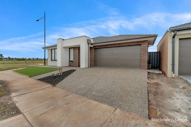 Second view of Homely house listing, 19 Azadi Crescent, Strathtulloh VIC 3338