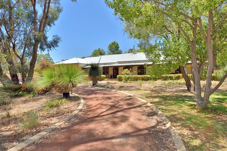 Main view of Homely house listing, 31 Honeytree Place, Falcon WA 6210