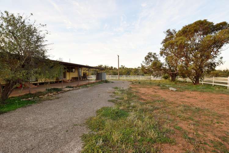 Main view of Homely acreageSemiRural listing, 3115 Flinders Ranges Way, Quorn SA 5433