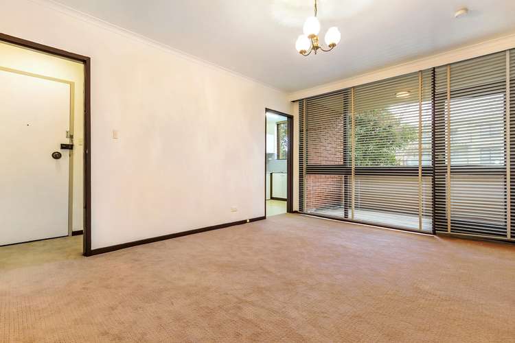 Main view of Homely apartment listing, 3/28 Albion Road, Box Hill VIC 3128