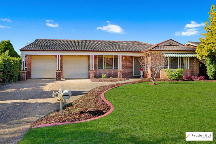Main view of Homely house listing, 56 Sirius Circuit, Narellan NSW 2567