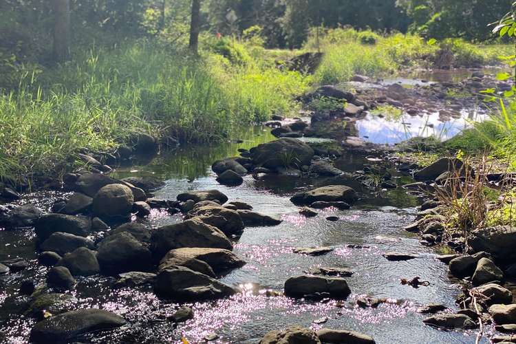 Seventh view of Homely acreageSemiRural listing, 573 Blue Knob Road, Nimbin NSW 2480