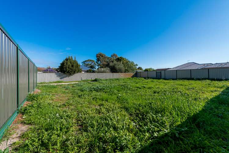 Fifth view of Homely residentialLand listing, 19a Morley Drive East, Morley WA 6062