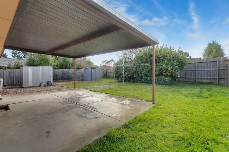 Fifth view of Homely house listing, 17 Moate Street, Langwarrin VIC 3910