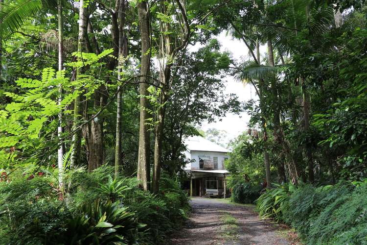 Lot 27 'Blue Springs', Blue Knob NSW 2480