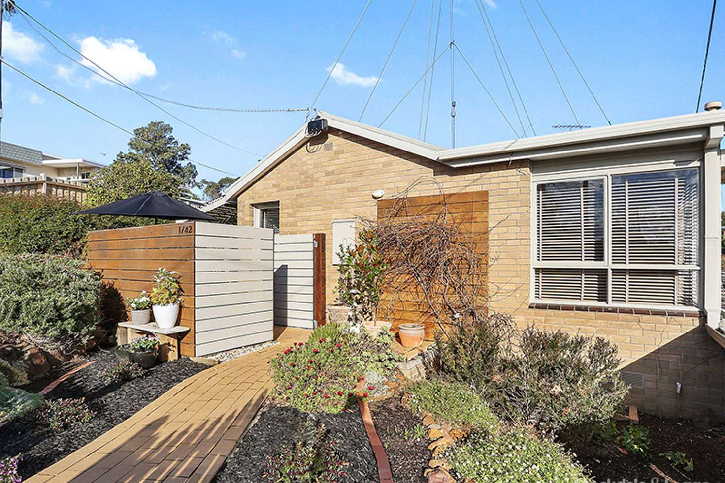 Main view of Homely unit listing, 1/42 Sanglen Terrace, Belmont VIC 3216