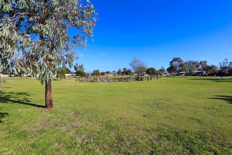 Main view of Homely residentialLand listing, 49 (Lot 117) Gunton Circle, Castletown WA 6450