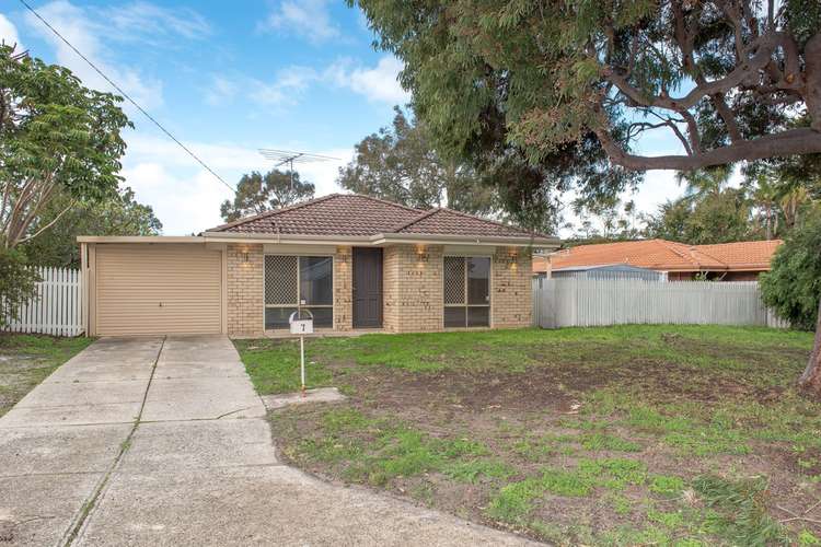 7 Dimitrios Court, Hocking WA 6065