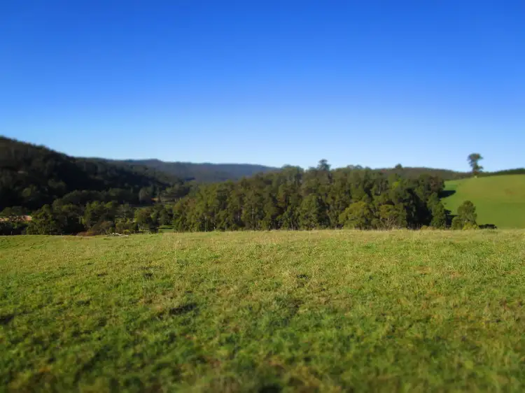 Main view of Homely rural property listing, - Wilmot Road, Forth TAS 7310