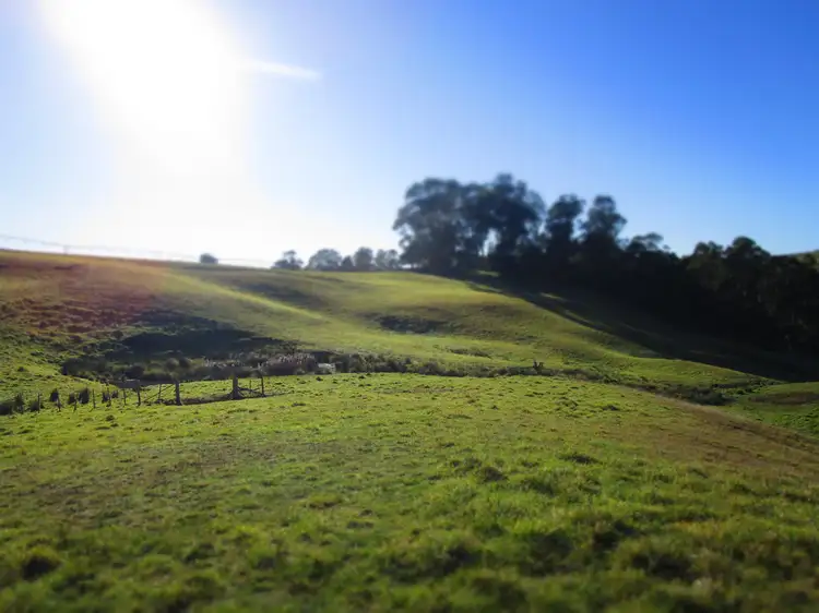 Second view of Homely rural property listing, - Wilmot Road, Forth TAS 7310