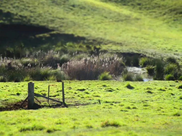 Third view of Homely rural property listing, - Wilmot Road, Forth TAS 7310