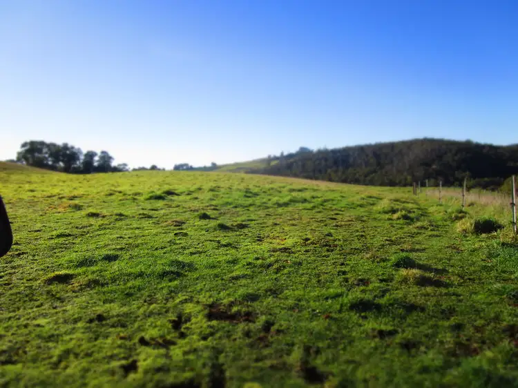 Fifth view of Homely rural property listing, - Wilmot Road, Forth TAS 7310