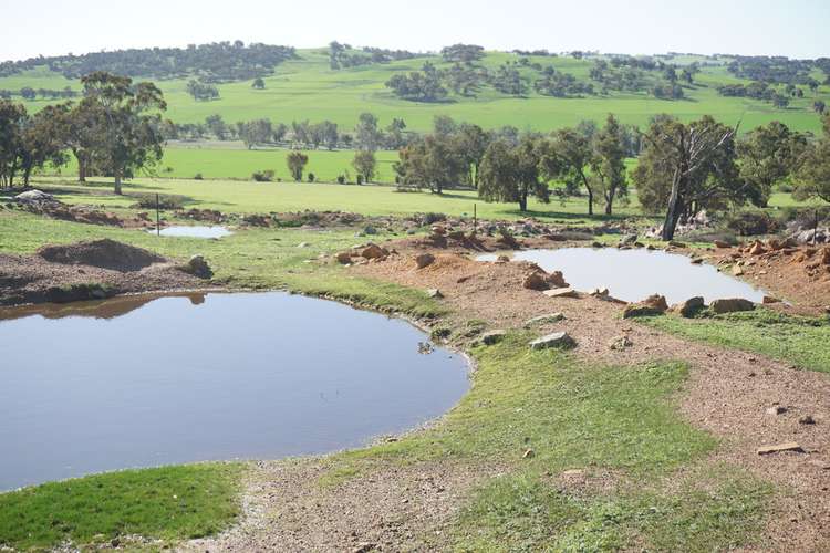 Main view of Homely ruralOther listing, 2796 BINDOON-MOORA ROAD, Wannamal WA 6505