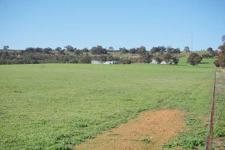 Seventh view of Homely ruralOther listing, 2796 BINDOON-MOORA ROAD, Wannamal WA 6505