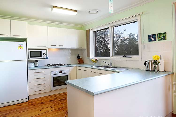 Third view of Homely house listing, 59 James Street, Belmont VIC 3216