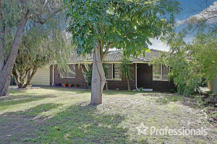 Main view of Homely house listing, 17 Connell Way, Girrawheen WA 6064