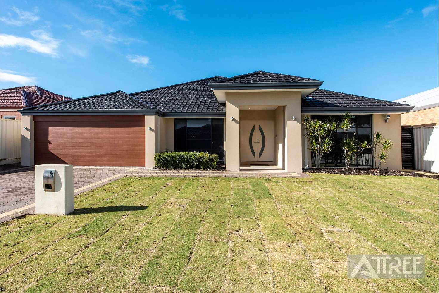 Main view of Homely house listing, 81 Waterfoot Loop, Canning Vale WA 6155