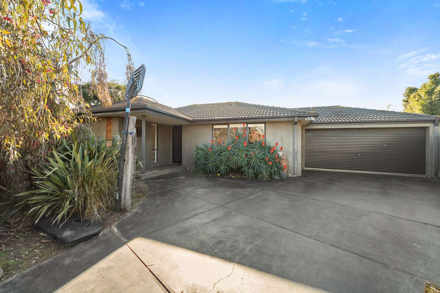Main view of Homely house listing, 5 Koala Court, Chelsea VIC 3196