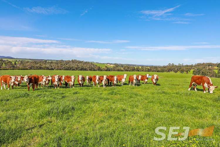 Fifth view of Homely cropping listing, 3524 Old Sale Road, Trafalgar VIC 3824