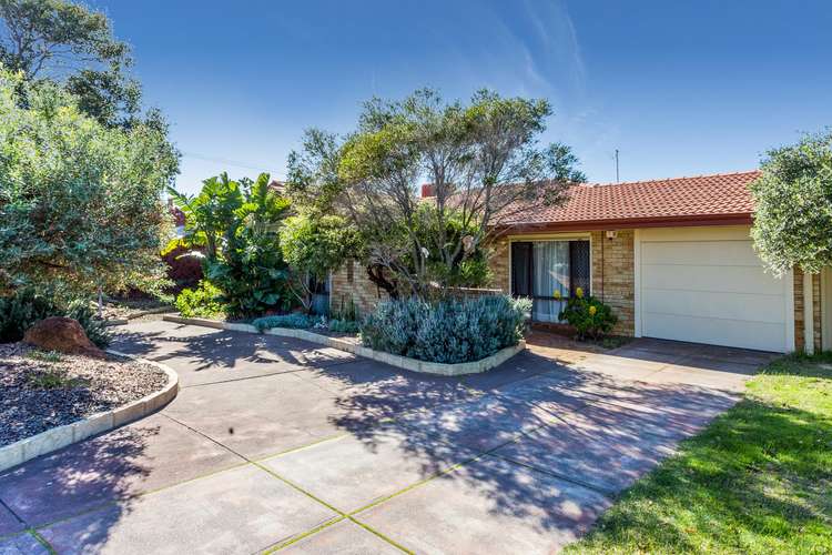 Main view of Homely house listing, 59 Petterson Avenue, Kardinya WA 6163