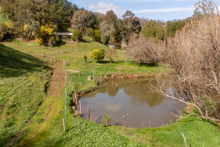 209 HOLLANDS CREEK ROAD, Cudlee Creek SA 5232