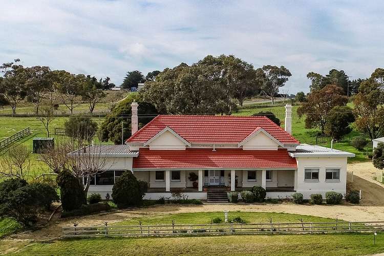 Main view of Homely house listing, 17 Blackwell Road, Naracoorte SA 5271