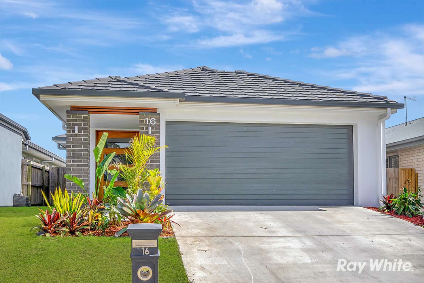 Main view of Homely house listing, 16 Potocki Street, Logan Reserve QLD 4133