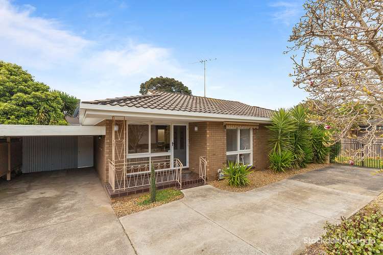 Main view of Homely unit listing, 3/165 Barrabool Road, Highton VIC 3216