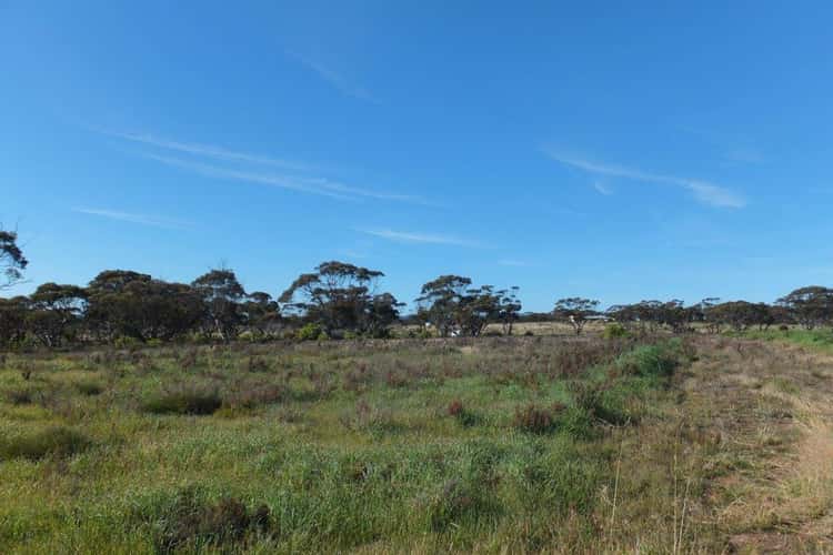 Sixth view of Homely residentialLand listing, Lot 901 South Coast Highway, Ravensthorpe WA 6346