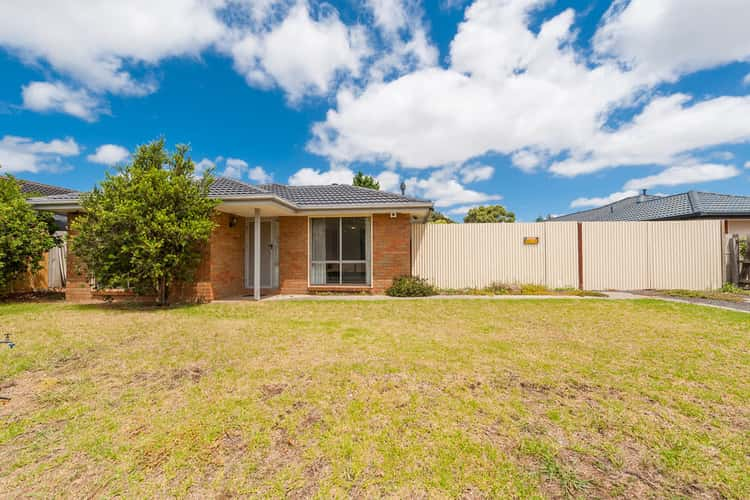 19 Newlyn Drive, Craigieburn VIC 3064