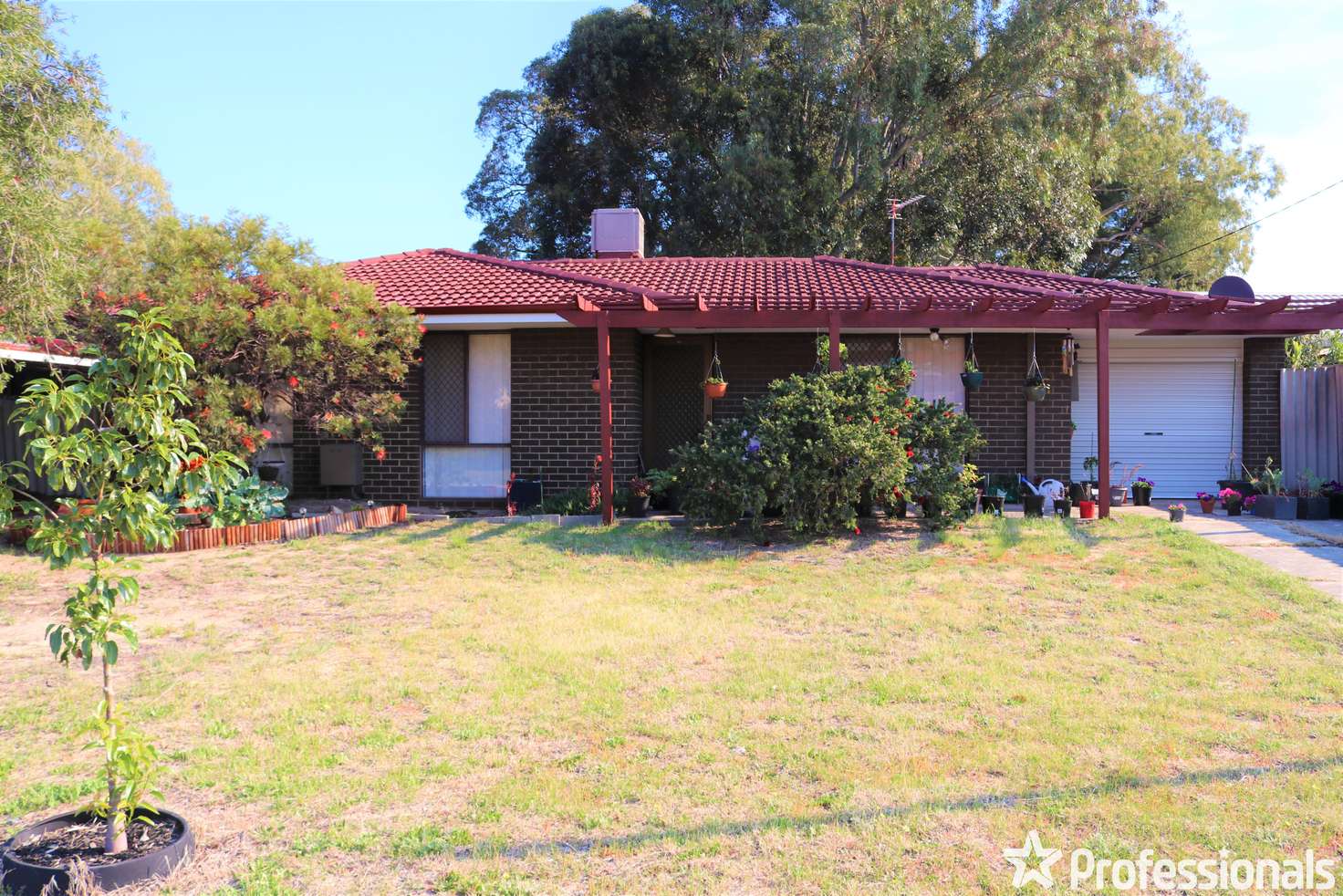 Main view of Homely house listing, 3 Taplow Court, Kelmscott WA 6111