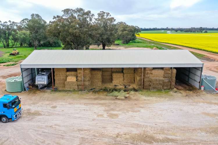 Seventh view of Homely cropping listing, 12678 RIVERINA HIGHWAY, Berrigan NSW 2712