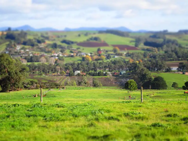 Seventh view of Homely rural property listing, 352 Braddons Lookout Road, Forth TAS 7310