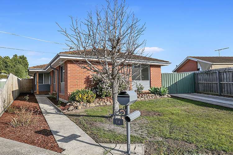 Main view of Homely house listing, 14 Worden Court, Whittington VIC 3219