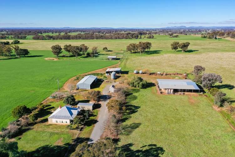 Main view of Homely mixedFarming listing, 355 Granthams Road, Carlyle VIC 3685