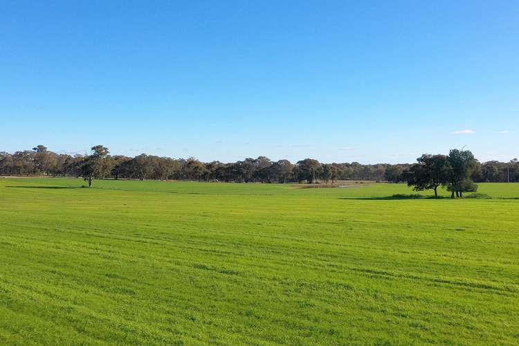 Seventh view of Homely mixedFarming listing, 355 Granthams Road, Carlyle VIC 3685