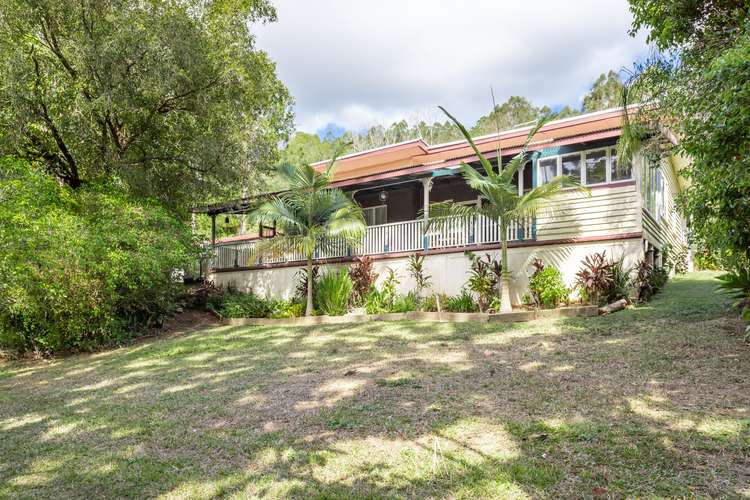Second view of Homely acreageSemiRural listing, 359 Cooroy Belli Creek Road, Cooroy QLD 4563