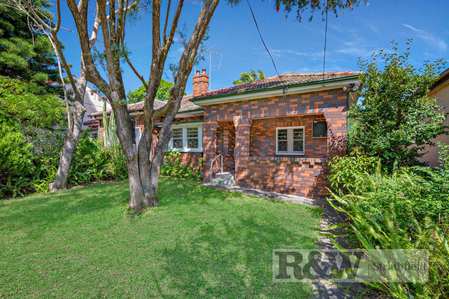 Main view of Homely semiDetached listing, 6A Park Avenue, Ashfield NSW 2131