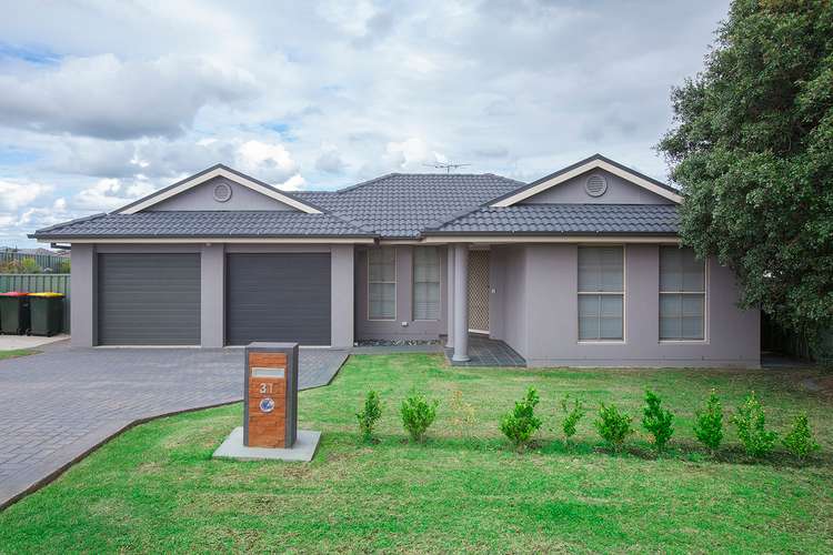 Main view of Homely house listing, 31 Lemonwood Circuit, Thornton NSW 2322