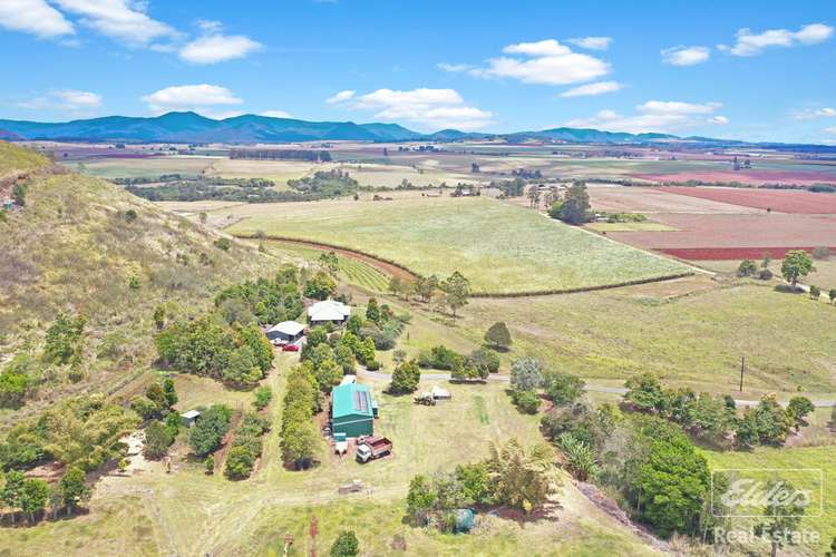 Third view of Homely cropping listing, 237 Coleman Road, Yungaburra QLD 4884