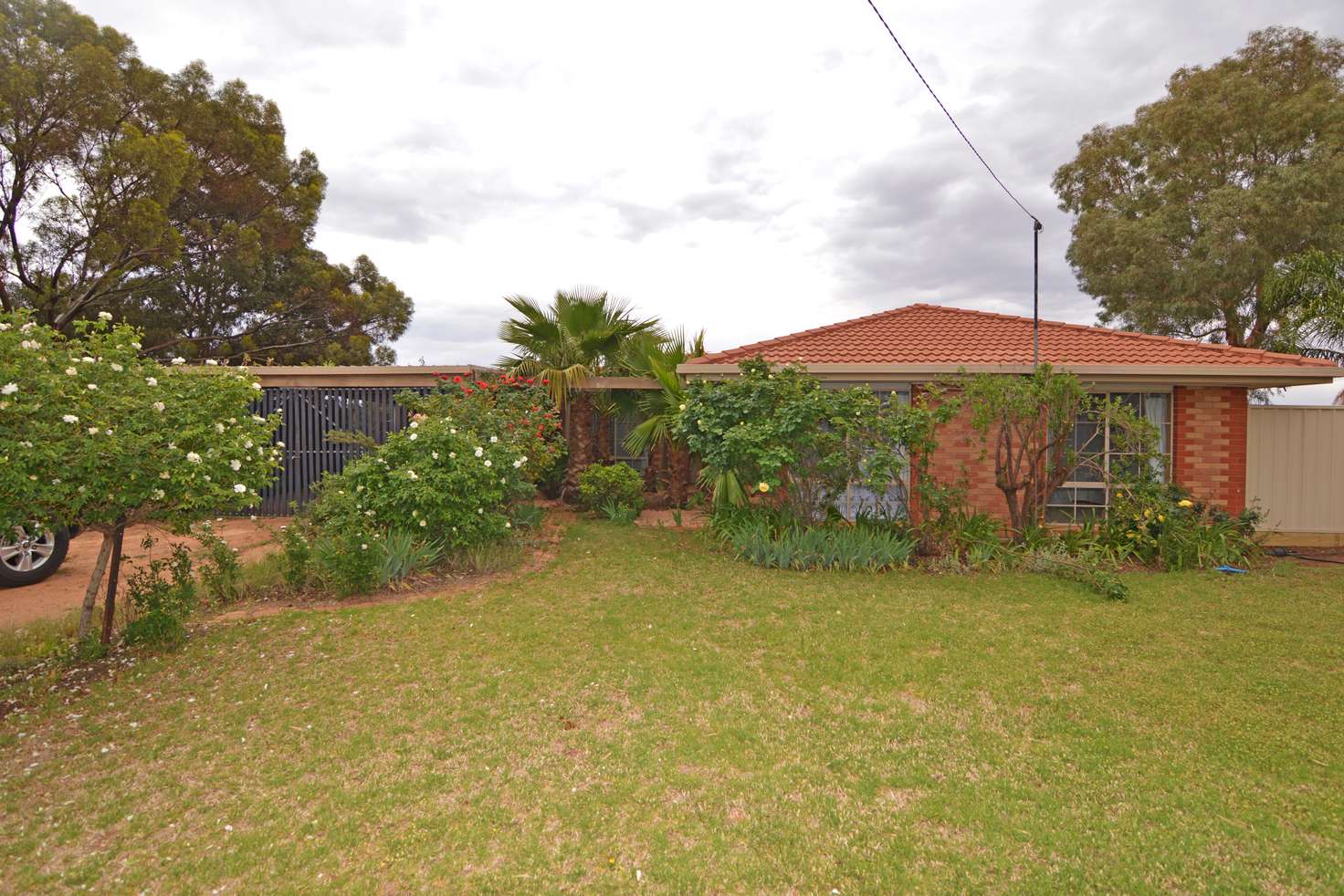 Main view of Homely house listing, 87 Nentoura Road, Dareton NSW 2717