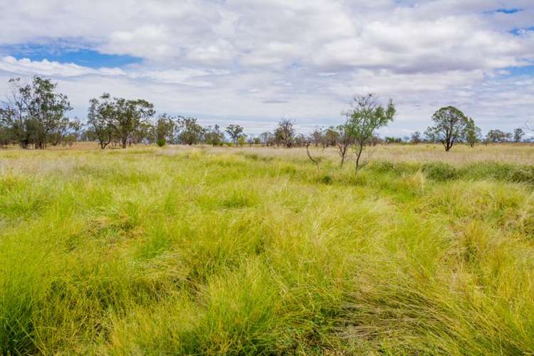 520 Koomalah Road, Dirranbandi QLD 4486