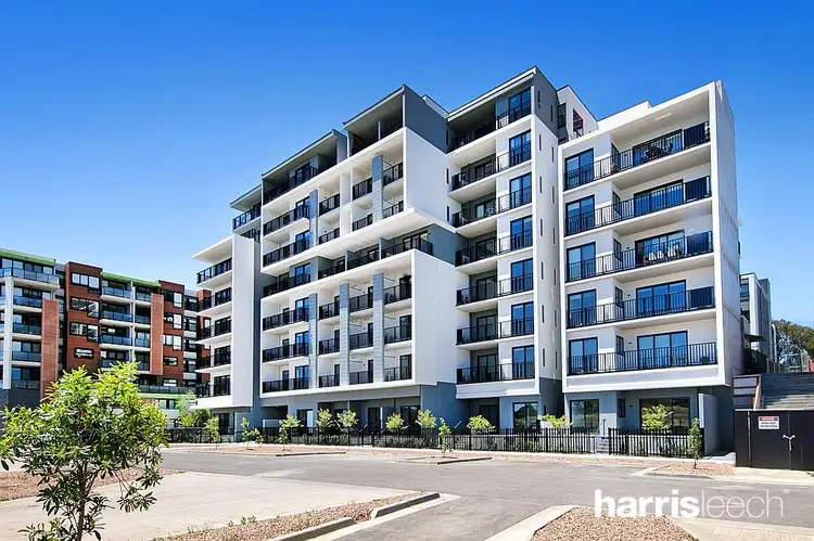 12 Olive York Way