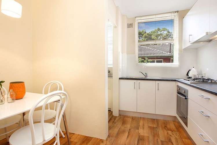 Main view of Homely apartment listing, 5/53 Frederick Street, Ashfield NSW 2131
