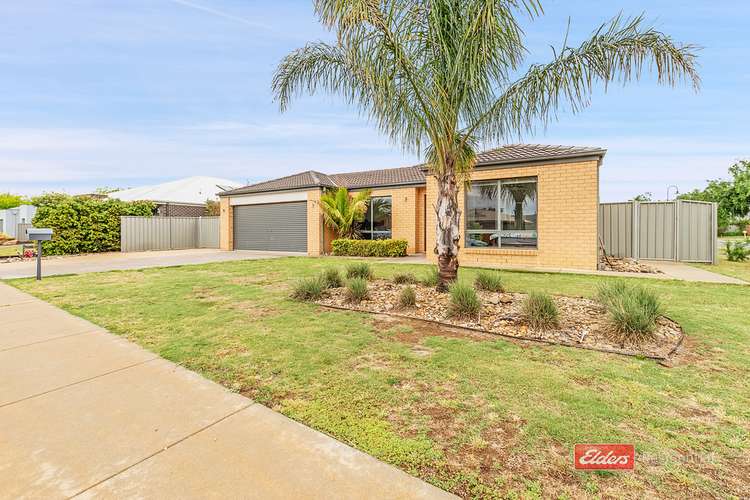 Main view of Homely house listing, 12 Elm Street, Echuca VIC 3564