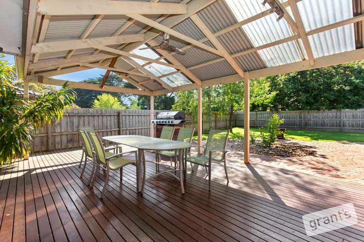 19 St Boswells Avenue, Berwick VIC 3806