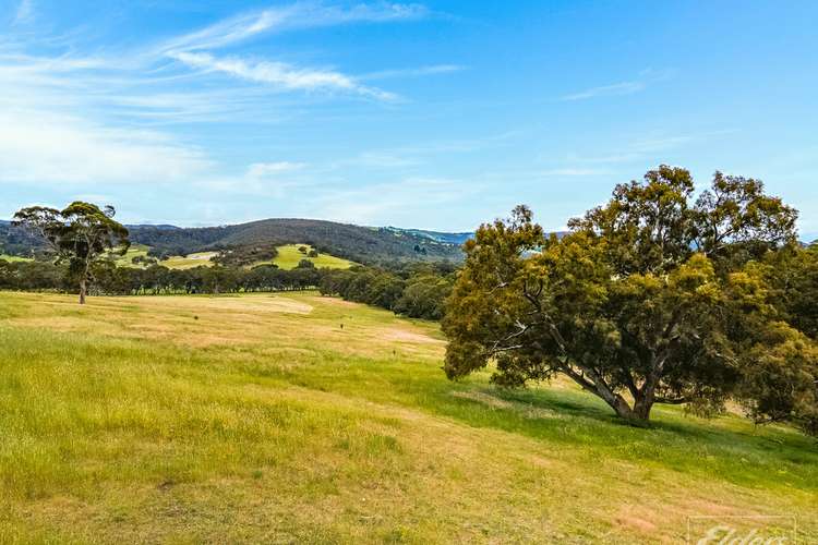 Fifth view of Homely livestock listing, 1465 Inman Valley Road, Inman Valley SA 5211